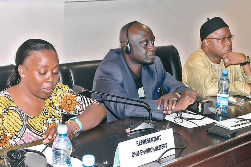 The National Director of Pollution Control with Jane Akumu, UN Environment representative.