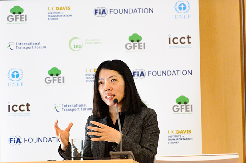 Xiaomei Tan, Global Environment Facility