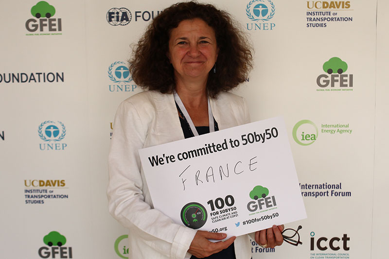 Sylvie Lemmet, French Government