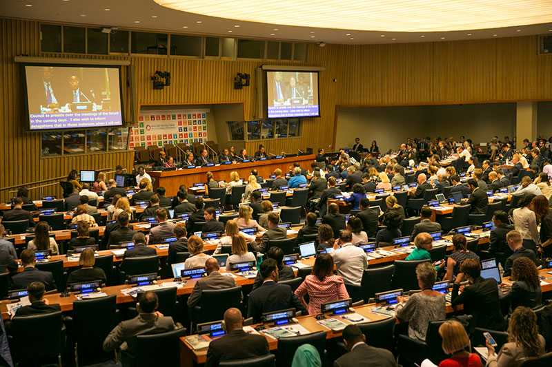 The 2018 HLPF will be held in New York in July.
