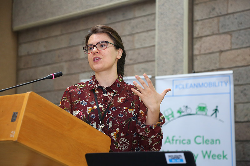 Elisa Dumitrescu, UNEP Regional Co-ordinator.