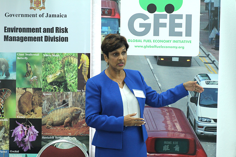 GFEI project manager for Jamaica Dr Ruth Potopsingh spoke at the event.