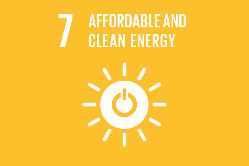 As host of the Global Fuel Economy Initiative, we are leading efforts to improve fuel efficiency under Energy target 7.3