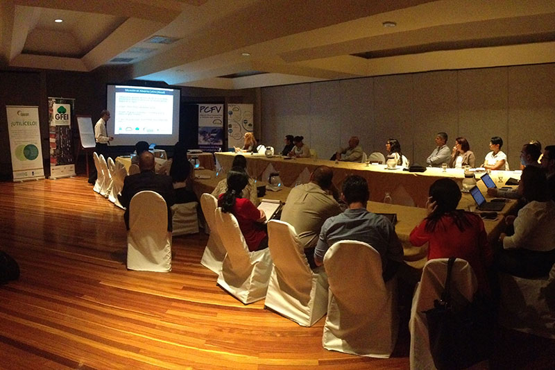 The GFEI meeting held in San José