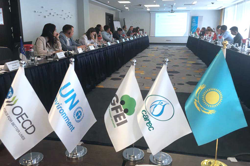 The event was organised by GFEI in partnership with local and international organisations