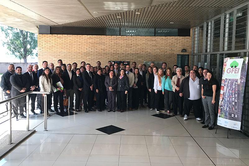 Participants at the Paraguay GFEI launch workshop.